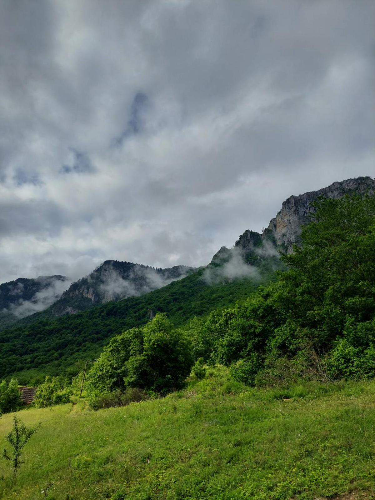 Rafting Camp Green Tara Scepan-Polje Exterior foto