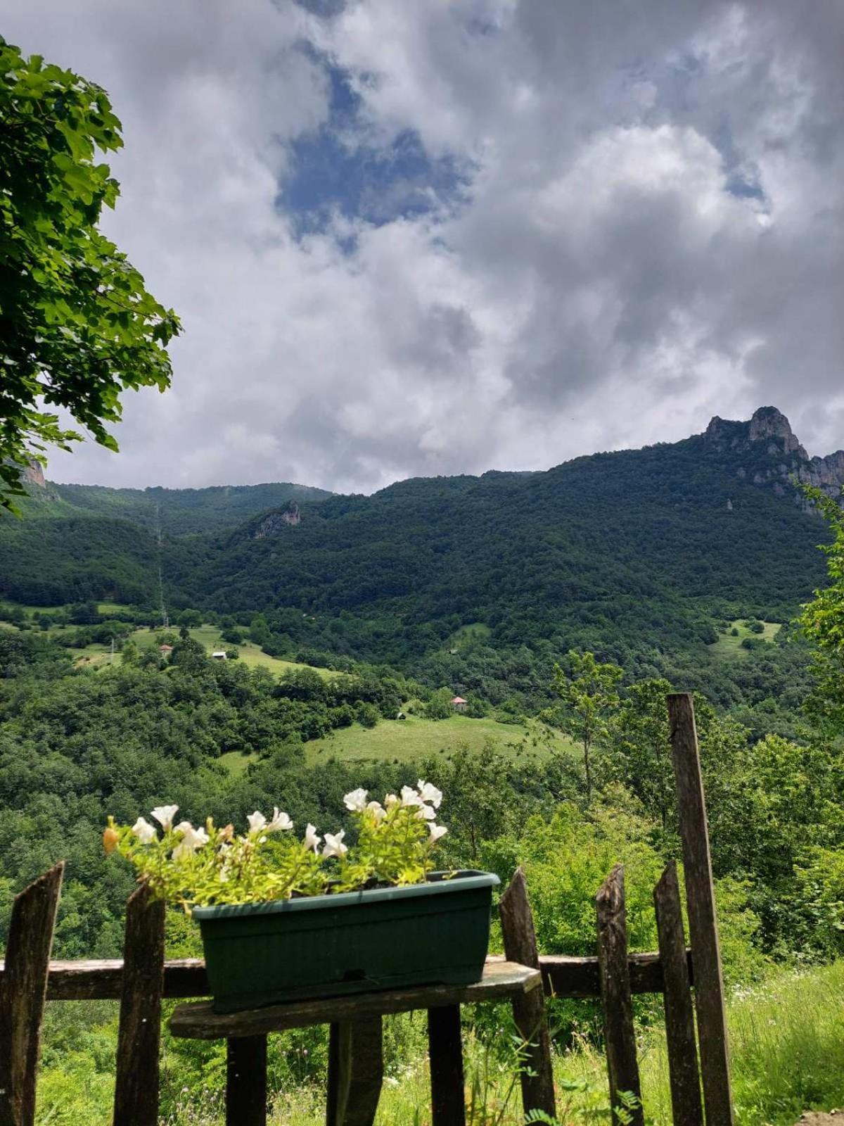 Rafting Camp Green Tara Scepan-Polje Exterior foto