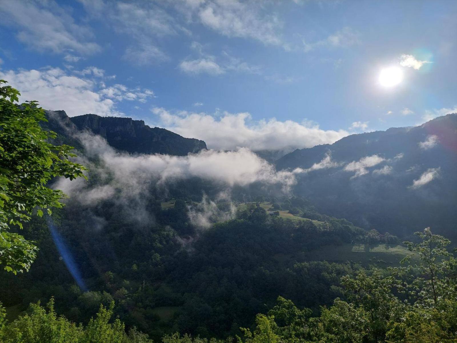 Rafting Camp Green Tara Scepan-Polje Exterior foto