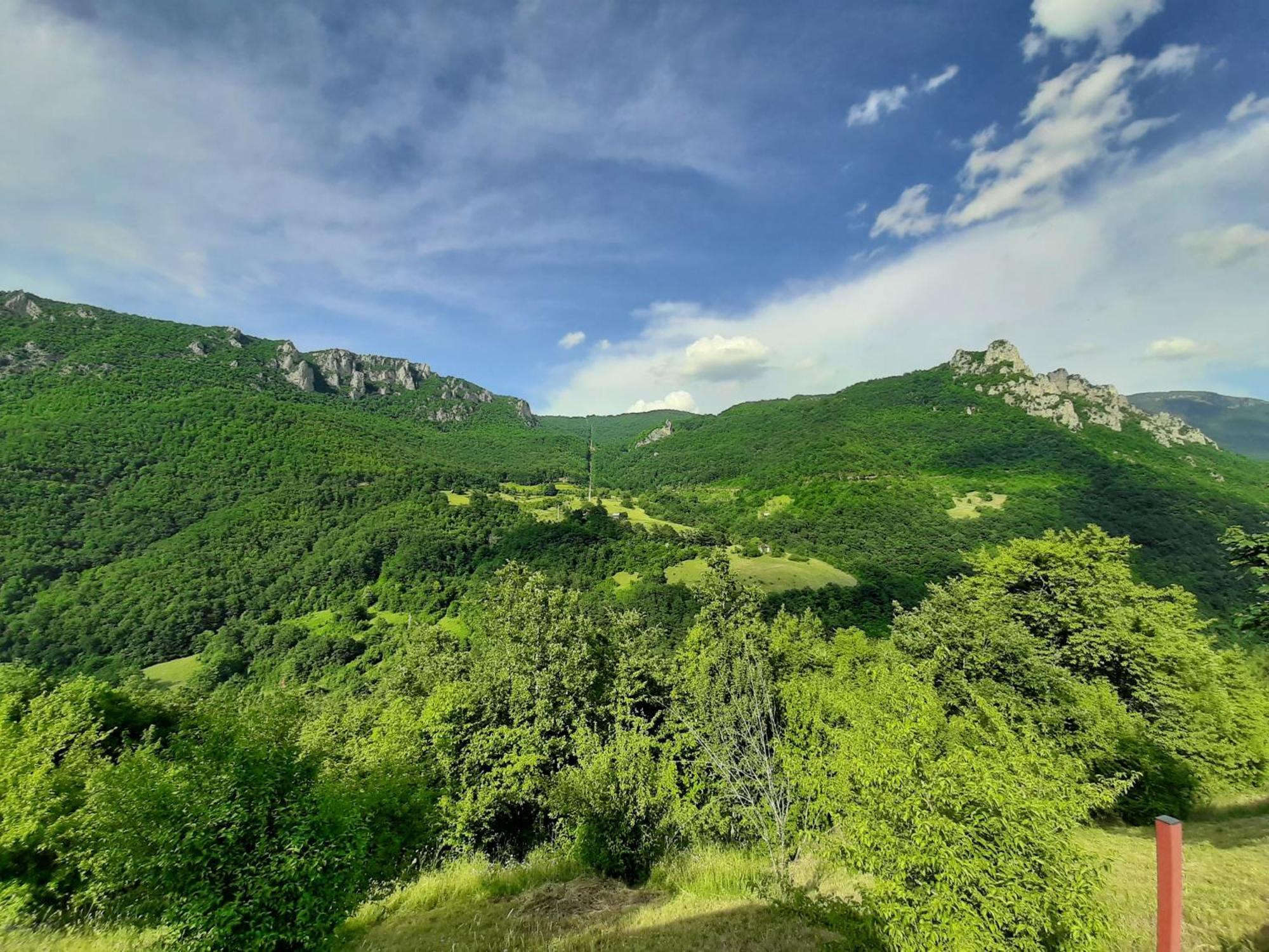 Rafting Camp Green Tara Scepan-Polje Exterior foto