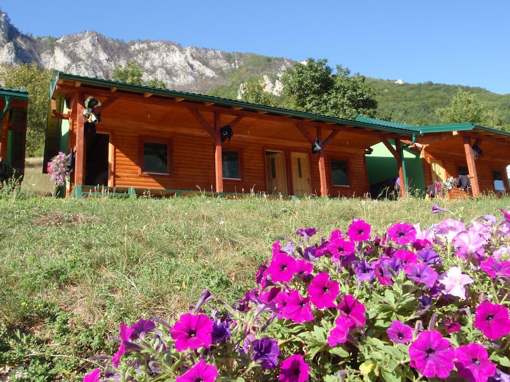 Rafting Camp Green Tara Scepan-Polje Exterior foto